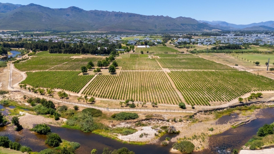 0 Bedroom Property for Sale in Val De Vie Estate Western Cape